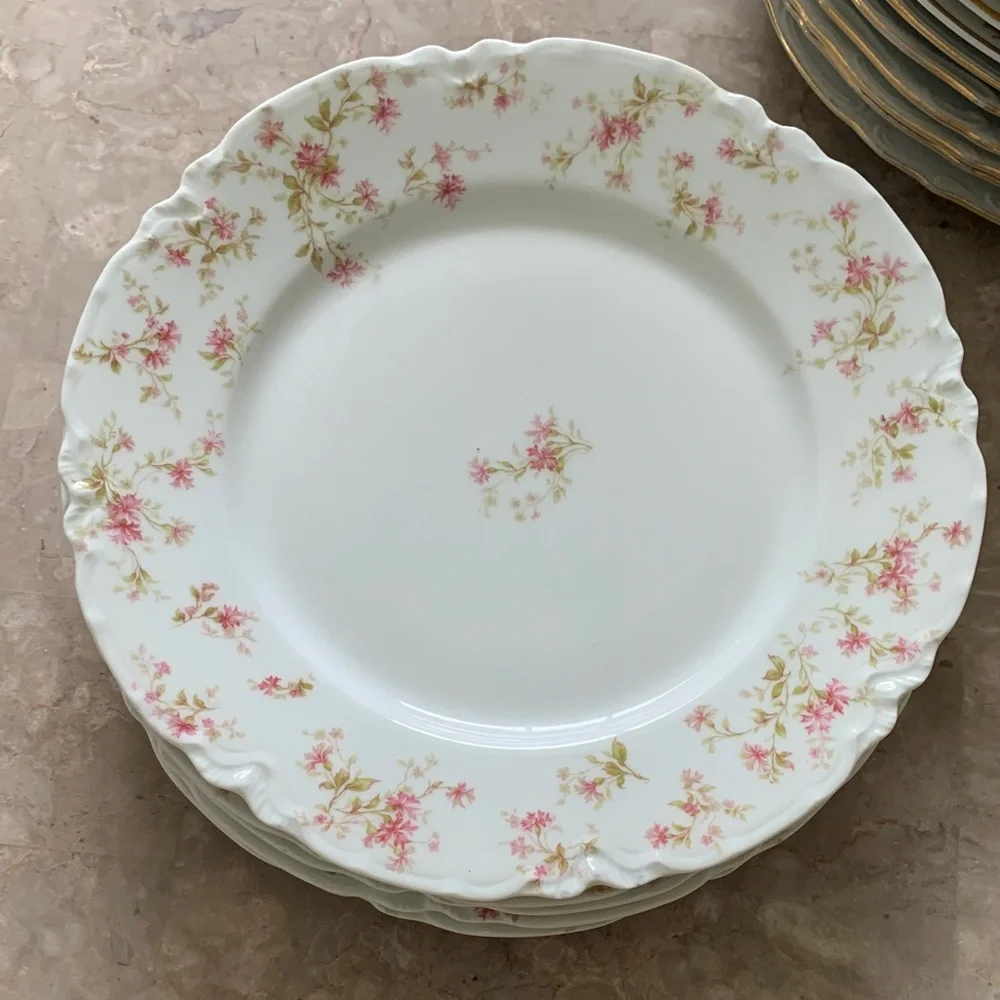 6 Vintage HAVILAND LIMOGES‎ France Fine China Pink FLOWERS 9 1/2